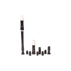 Top 10 ???? Aulos Aulos Recorders For Disabled Soprano A204Af ????